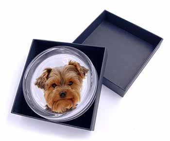 Cute Yorkshire Terrier Dog Glass Paperweight in Gift Box