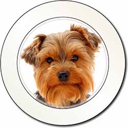Cute Yorkshire Terrier Dog Car or Van Permit Holder/Tax Disc Holder