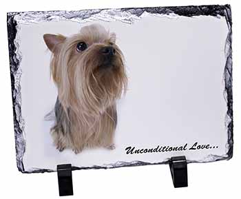 Yorkshire Terrier Dog-with Love, Stunning Photo Slate
