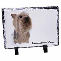 Yorkshire Terrier Dog-with Love, Stunning Animal Photo Slate