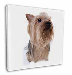 Yorkshire Terrier Square Canvas 12"x12" Wall Art Picture Print