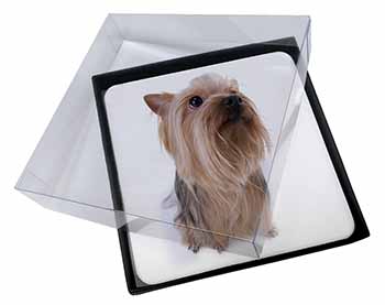 4x Yorkshire Terrier Picture Table Coasters Set in Gift Box