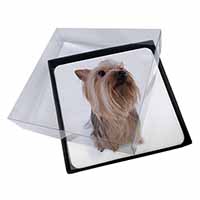 4x Yorkshire Terrier Picture Table Coasters Set in Gift Box
