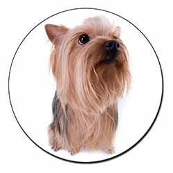 Yorkshire Terrier Fridge Magnet Printed Full Colour