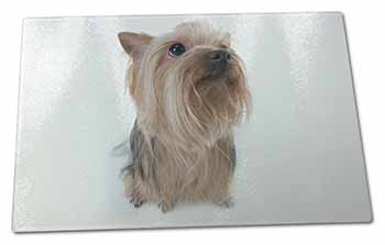 Large Glass Cutting Chopping Board Yorkshire Terrier