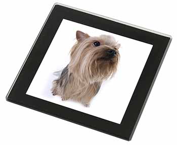 Yorkshire Terrier Black Rim High Quality Glass Coaster