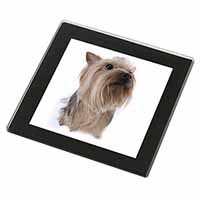 Yorkshire Terrier Black Rim High Quality Glass Coaster