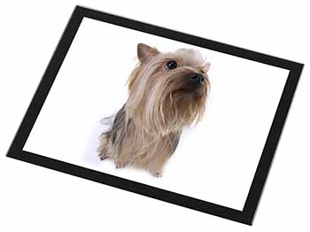 Yorkshire Terrier Black Rim High Quality Glass Placemat