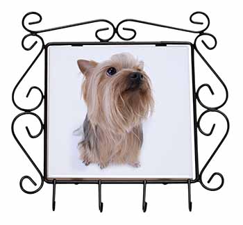 Yorkshire Terrier Wrought Iron Key Holder Hooks