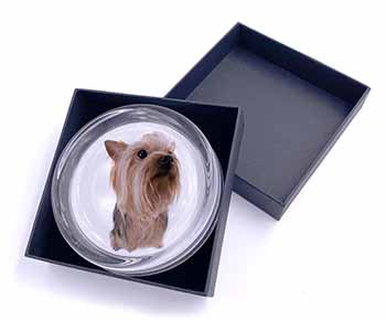 Yorkshire Terrier Glass Paperweight in Gift Box