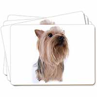 Yorkshire Terrier Picture Placemats in Gift Box