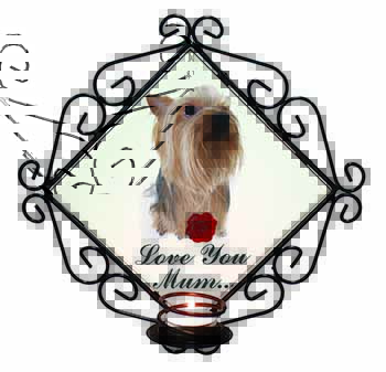 Yorkie+Rose 