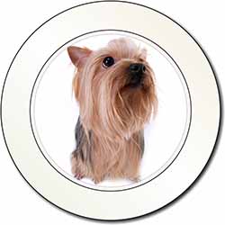 Yorkshire Terrier Car or Van Permit Holder/Tax Disc Holder