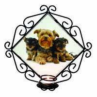 Yorkshire Terrier Dogs Wrought Iron Wall Art Candle Holder