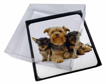 4x Yorkshire Terrier Dogs Picture Table Coasters Set in Gift Box