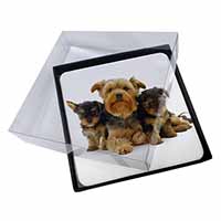 4x Yorkshire Terrier Dogs Picture Table Coasters Set in Gift Box