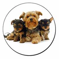 Yorkshire Terrier Dogs Fridge Magnet Printed Full Colour