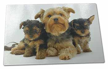 Large Glass Cutting Chopping Board Yorkshire Terrier Dogs