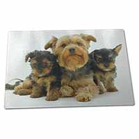 Large Glass Cutting Chopping Board Yorkshire Terrier Dogs