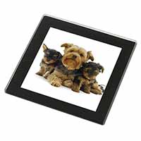 Yorkshire Terrier Dogs Black Rim High Quality Glass Coaster