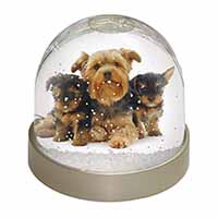 Yorkshire Terrier Dogs Snow Globe Photo Waterball