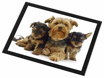 Yorkshire Terrier Dogs Black Rim High Quality Glass Placemat