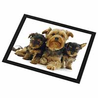 Yorkshire Terrier Dogs Black Rim High Quality Glass Placemat