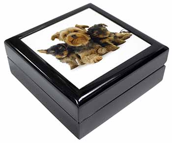 Yorkshire Terrier Dogs Keepsake/Jewellery Box