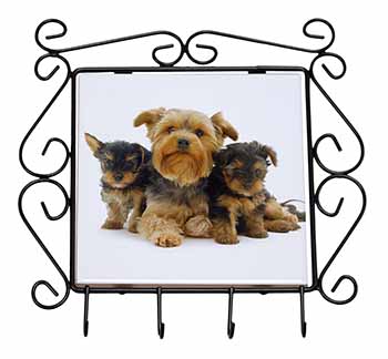 Yorkshire Terrier Dogs Wrought Iron Key Holder Hooks