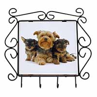 Yorkshire Terrier Dogs Wrought Iron Key Holder Hooks