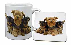 Yorkshire Terrier Dogs Mug and Coaster Set