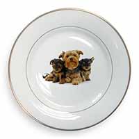 Yorkshire Terrier Dogs Gold Rim Plate Printed Full Colour in Gift Box