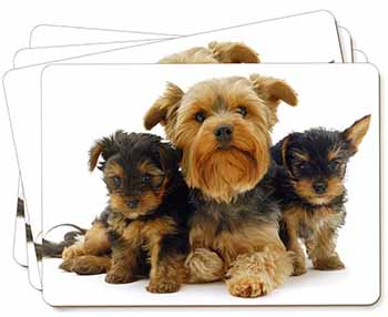 Yorkshire Terrier Dogs Picture Placemats in Gift Box