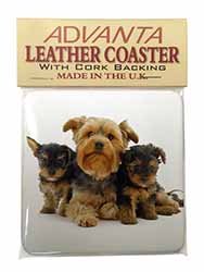 Yorkshire Terrier Dogs Single Leather Photo Coaster