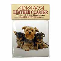 Yorkshire Terrier Dogs Single Leather Photo Coaster