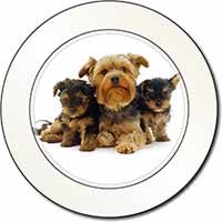 Yorkshire Terrier Dogs Car or Van Permit Holder/Tax Disc Holder