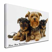 Yorkshire Terriers 