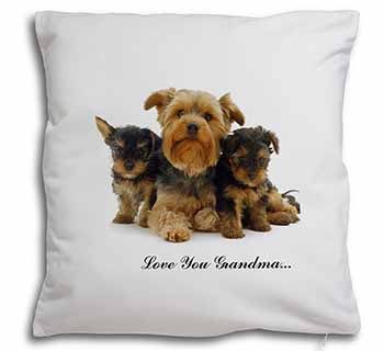 Yorkshire Terriers 