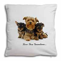 Yorkshire Terriers 