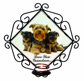 Yorkshire Terriers 