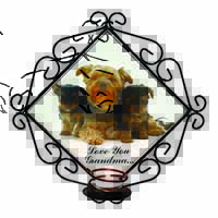 Yorkshire Terriers 