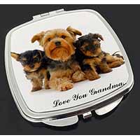 Yorkshire Terriers 