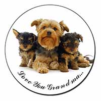 Yorkshire Terriers 