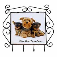 Yorkshire Terriers 