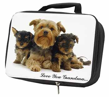 Yorkshire Terriers 