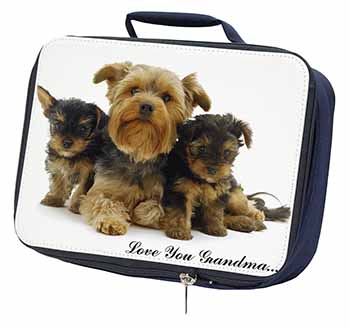 Yorkshire Terriers 