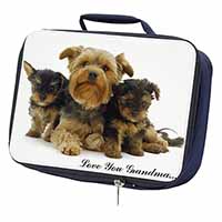 Yorkshire Terriers 