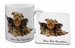 Yorkshire Terriers 
