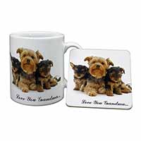 Yorkshire Terriers 