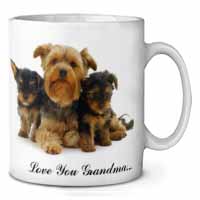 Yorkshire Terriers 